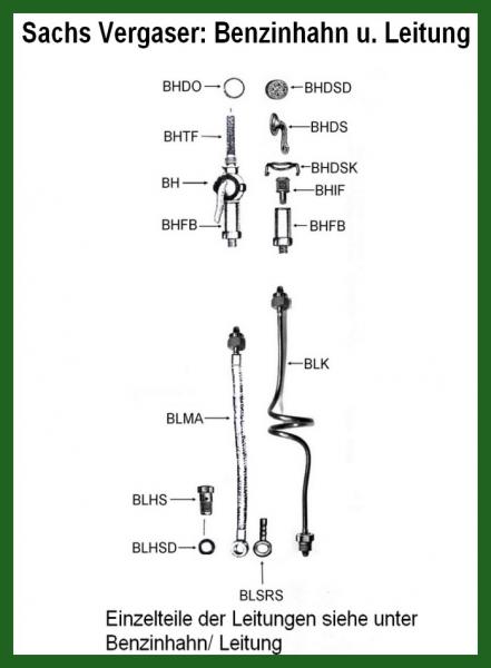 BLHSD---Hohlschrauben-Dichtung 10mm